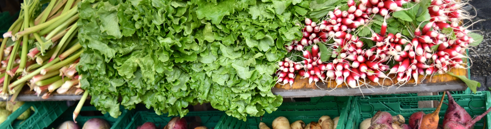 Lausanne Farmers Market