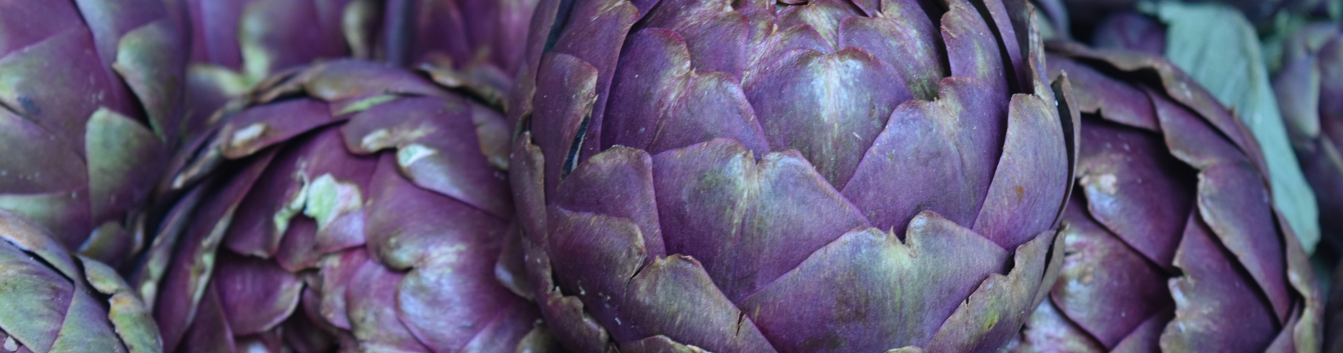 Artichoke picture