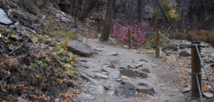 Hanging Lake Trek